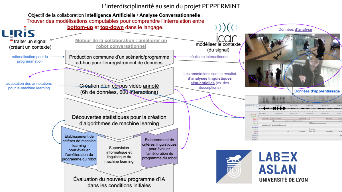 Interdisciplnarity